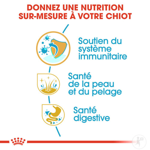 Royal Canin Breed Health Nutrition Shih Tzu Puppy 1,5kg-6