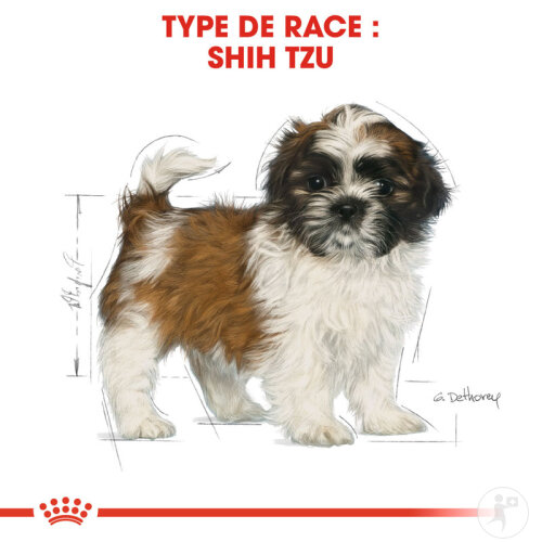 Royal Canin Breed Health Nutrition Shih Tzu Puppy 1,5kg-7