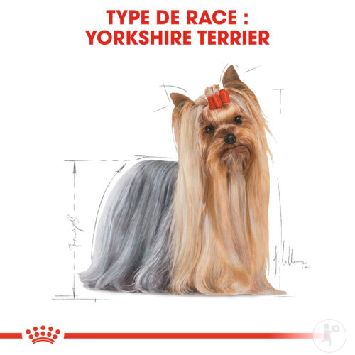 Royal Canin Breed Health Nutrition Yorkshire Terrier 12x85g-4