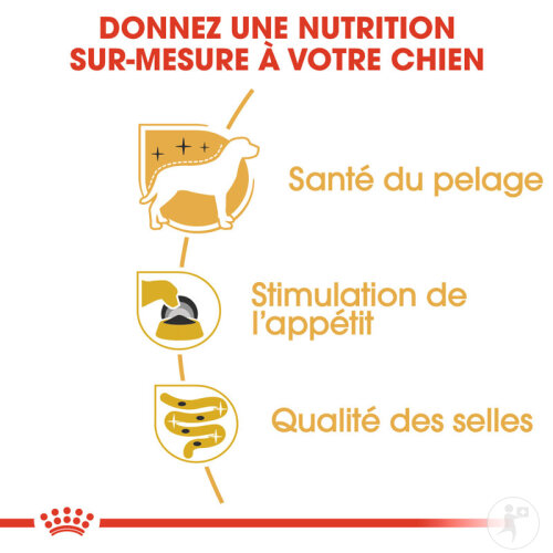 Royal Canin Breed Health Nutrition Yorkshire Terrier 12x85g-6