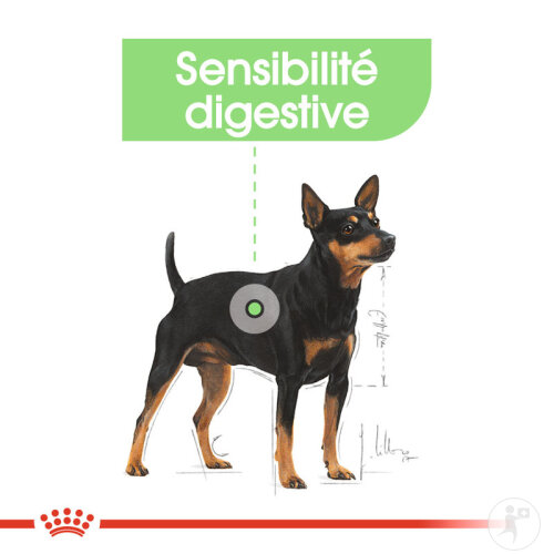 Royal Canin Canine Care Nutrition Digestive Care 12x85g-3