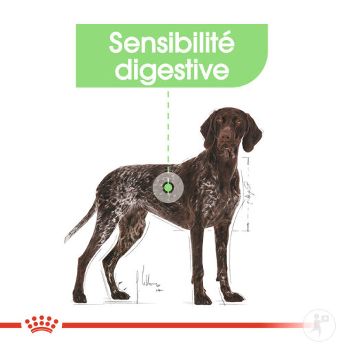 Royal Canin Canine Care Nutrition Maxi Digestive Care 12kg-3