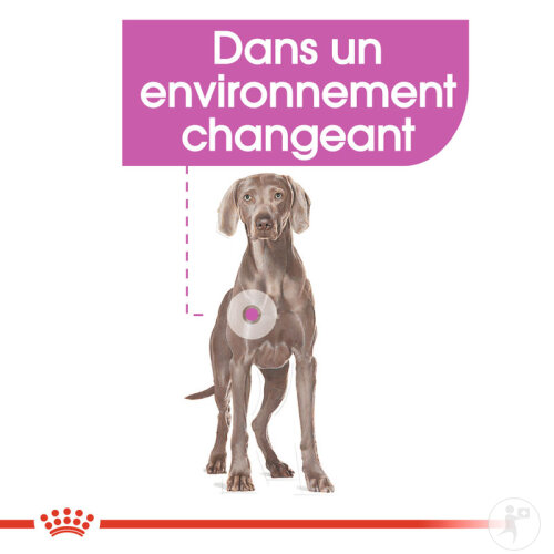 Royal Canin Canine Care Nutrition Maxi Relax Care 9kg-3
