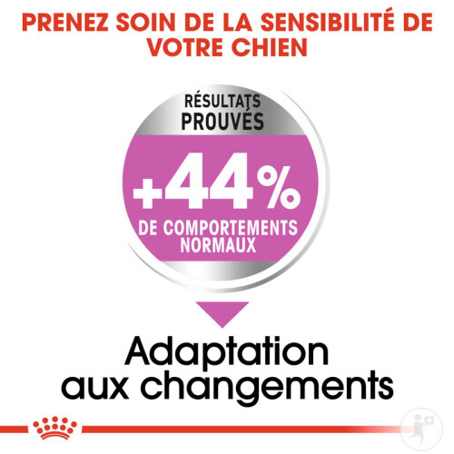 Royal Canin Canine Care Nutrition Maxi Relax Care 9kg-4