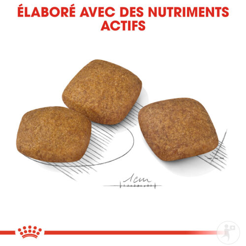 Royal Canin Canine Care Nutrition Maxi Relax Care 9kg-5