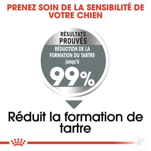 Royal Canin Canine Care Nutrition Medium Dental Care 10kg-4