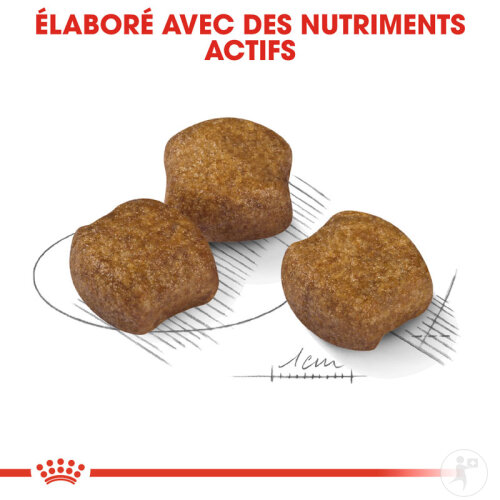 Royal Canin Canine Care Nutrition Medium Dental Care 10kg-5