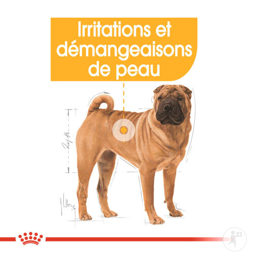 Royal Canin Canine Care Nutrition Medium Dermacomfort 12kg-3