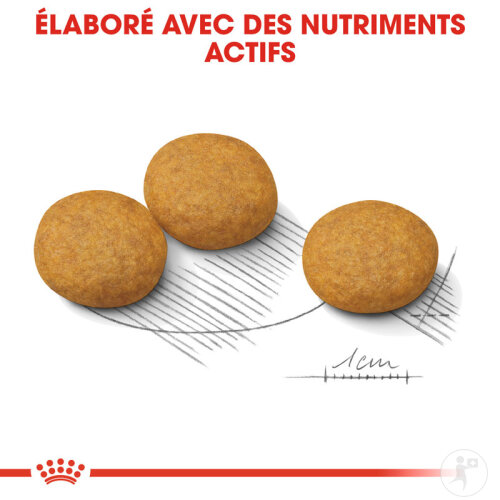 Royal Canin Canine Care Nutrition Medium Dermacomfort 12kg-5