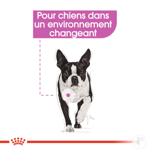 Royal Canin Canine Care Nutrition Relax Care 12x85g-3