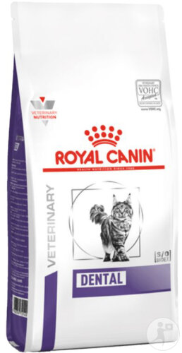 Royal Canin Chat Dental Croquettes 3kg