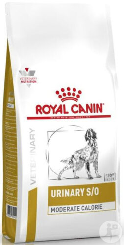 Royal Canin Chien Urinary S/O Calories Modérées Croquettes 1,5kg