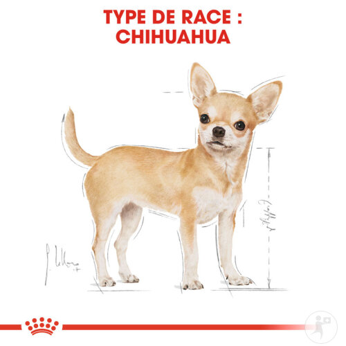 Royal Canin Chihuahua Adult 3kg-4