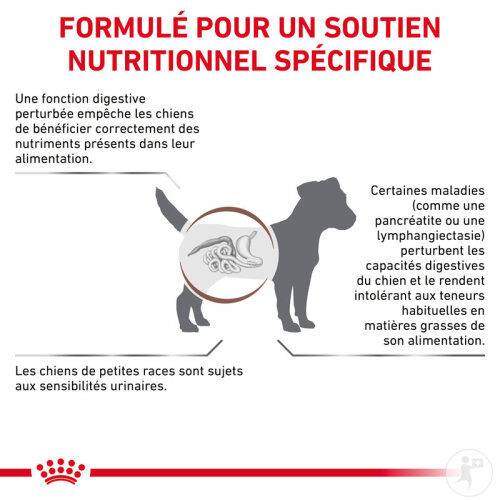Royal Canin Small Dog Gastrointestinal Low Fat Nourriture Pour Chiens 8kg-2