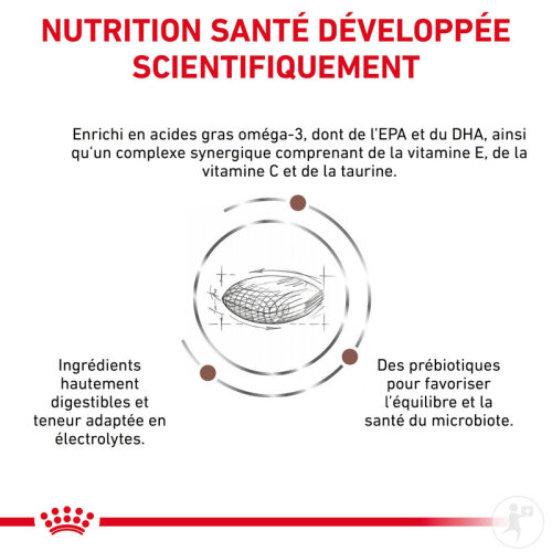 Royal Canin Small Dog Gastrointestinal Low Fat Nourriture Pour Chiens 8kg-3