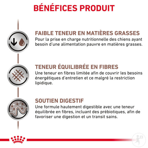 Royal Canin Small Dog Gastrointestinal Low Fat Nourriture Pour Chiens 8kg-4