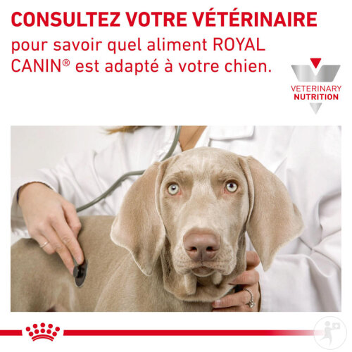 Royal Canin Small Dog Gastrointestinal Low Fat Nourriture Pour Chiens 8kg-9