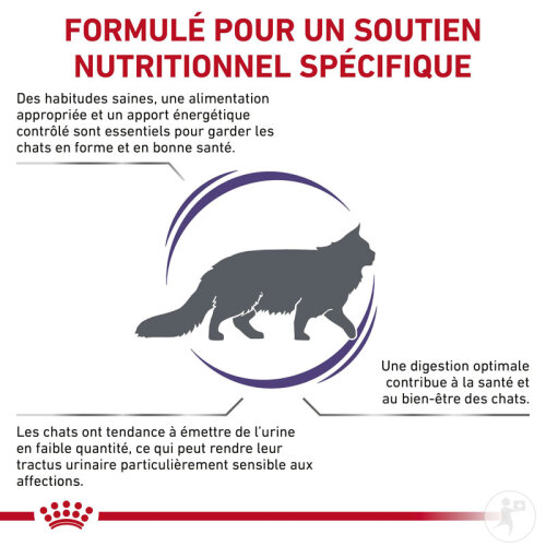 Royal Canin Expert Adult Féline 8kg-2