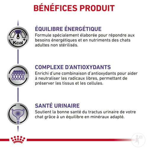 Royal Canin Expert Adult Féline 8kg-4