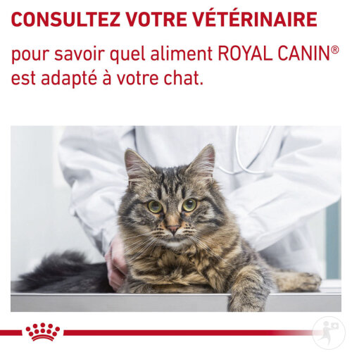Royal Canin Expert Diet Calm Feline 4kg-8