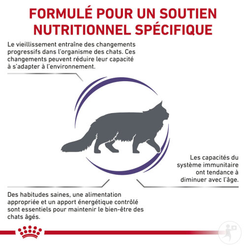 Royal Canin Expert Diet Mature Consult Feline 10kg-2