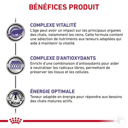 Royal Canin Expert Diet Mature Consult Feline 10kg-4