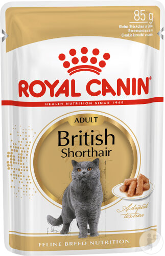 Royal Canin Feline Breed Nutrition British Shorthair In Gravy 12x85g