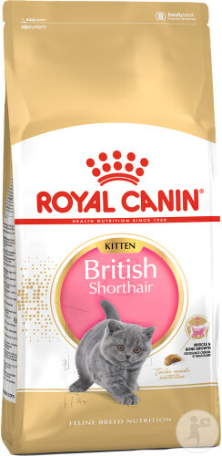 Royal Canin Feline Breed Nutrition Kitten British Shorthair 2kg