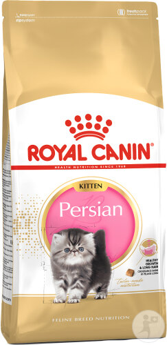 Royal Canin Feline Breed Nutrition Kitten Persian 4kg