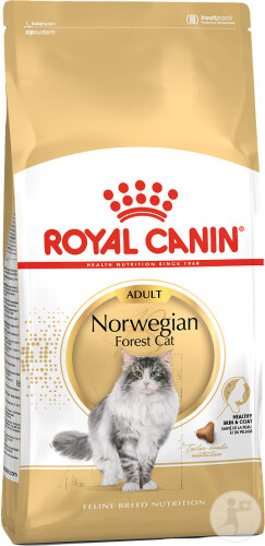 Royal Canin Feline Breed Nutrition Norwegian Forest Cat 2kg