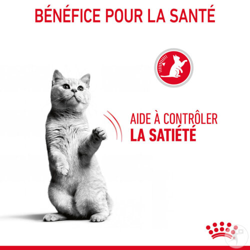 Royal Canin Feline Care Nutrition Appetite Control 3,5kg-7
