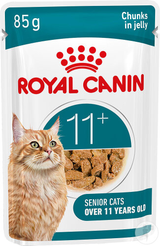 Royal Canin Feline Health Nutrition Ageing 11+ In Jelly 12x85g