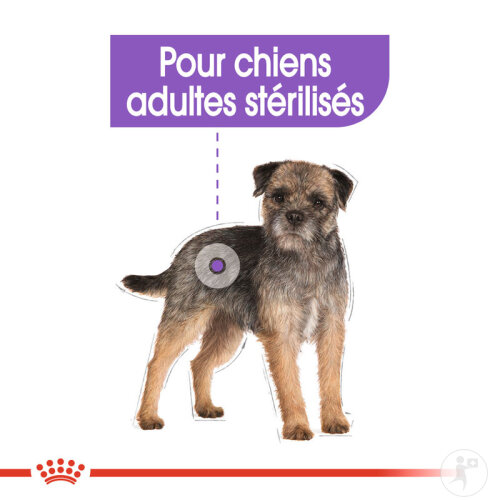 Royal Canin Mini Sterilised Nourriture Pour Chiens 8kg-4