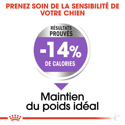 Royal Canin Mini Sterilised Nourriture Pour Chiens 8kg-5