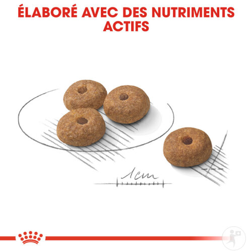 Royal Canin Mini Sterilised Nourriture Pour Chiens 8kg-6