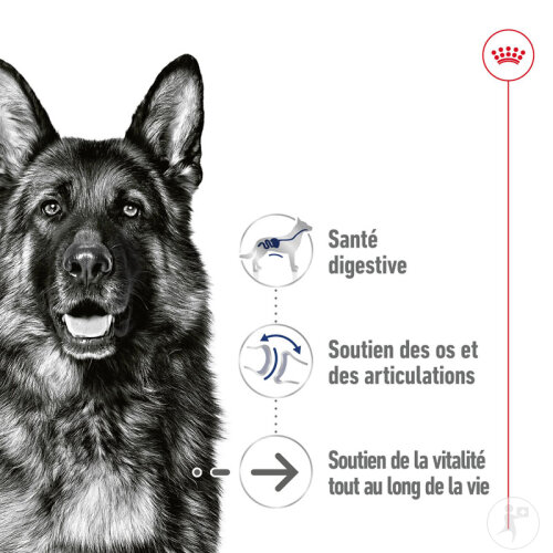 Royal Canin Size Health Nutrition Maxi Ageing 10x140g-4