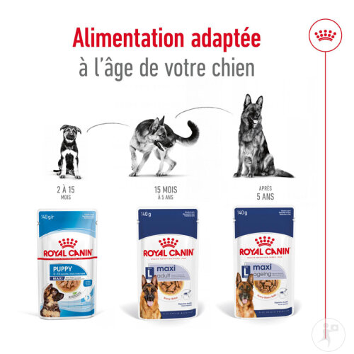 Royal Canin Size Health Nutrition Maxi Ageing 10x140g-6