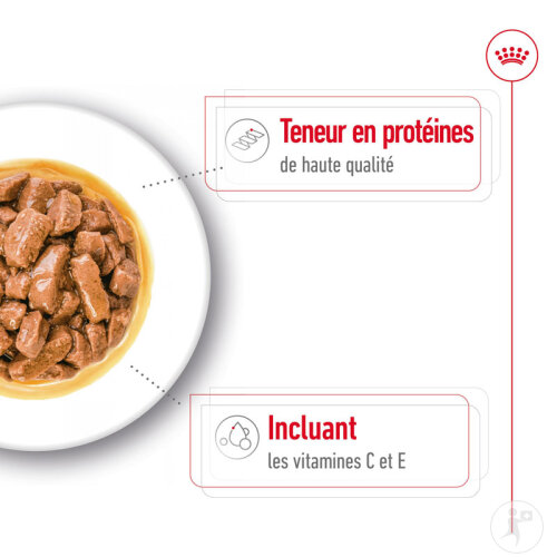 Royal Canin Size Health Nutrition Medium Adult 10x140g-5