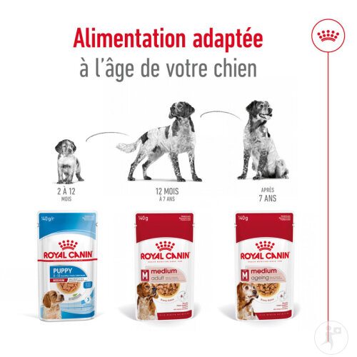 Royal Canin Size Health Nutrition Medium Adult 10x140g-6