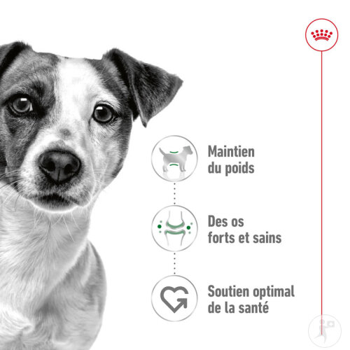 Royal Canin Size Health Nutrition Mini Adult 12x85g-4