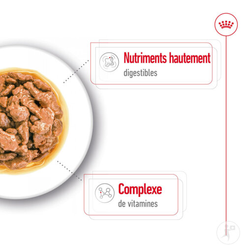 Royal Canin Size Health Nutrition Mini Adult 12x85g-5