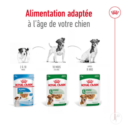 Royal Canin Size Health Nutrition Mini Adult 12x85g-6
