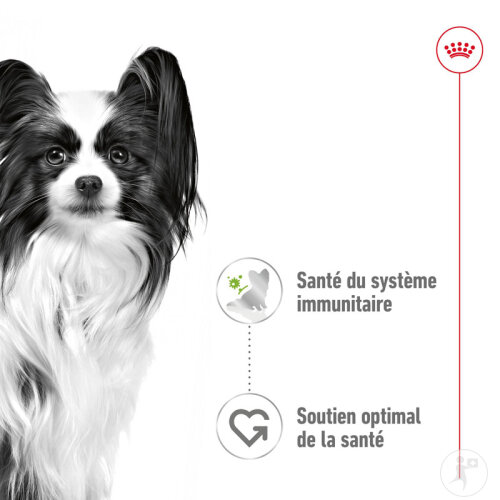 Royal Canin Size Health Nutrition X-Small Adult 12x85g-4