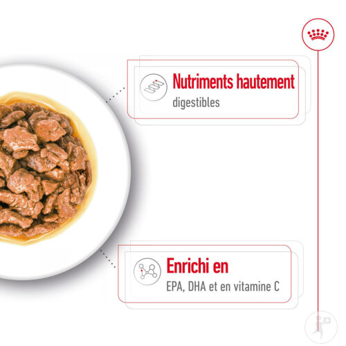 Royal Canin Size Health Nutrition X-Small Adult 12x85g-5