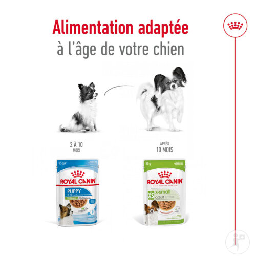 Royal Canin Size Health Nutrition X-Small Adult 12x85g-6
