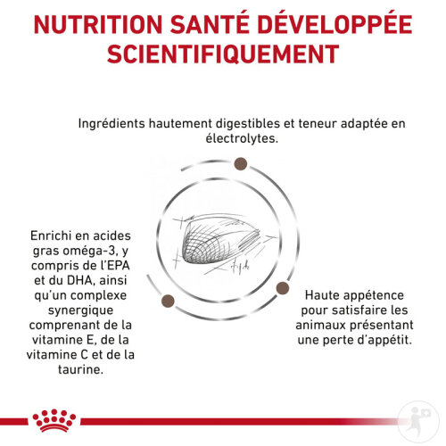Royal Canin Veterinary Diet Gastro Intestinal Feline 400g-3
