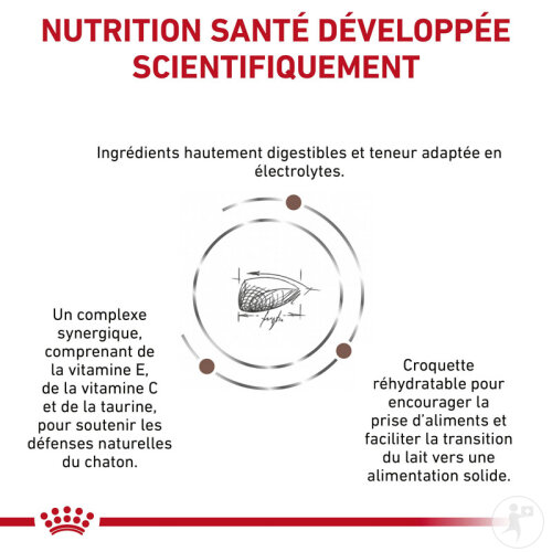 Royal Canin Veterinary Diet Gastrointestinal Kitten 400g-3