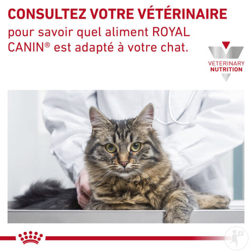 Royal Canin Veterinary Diet Gastrointestinal Kitten 400g-8