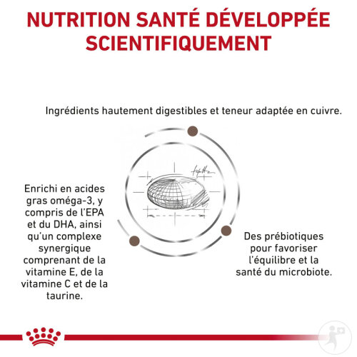 Royal Canin Veterinary Diet Hepatic Feline 2kg-3