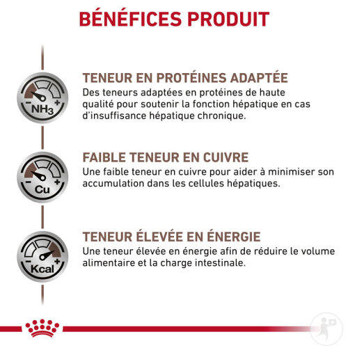 Royal Canin Veterinary Diet Hepatic Feline 2kg-4